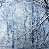 Timeless Treasures, winter panel - Image 2