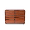 Dingo II Cutting & Storage Cabinet