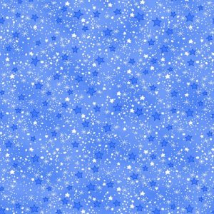AE Nathan Blue and White Star Fannel
