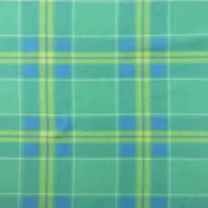 Family Treasures Polar Fleece Mario Plaid Mint