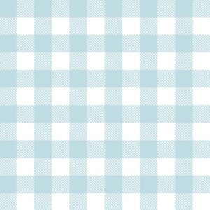 Family Treasures, Flannel, White and Blue Plaid